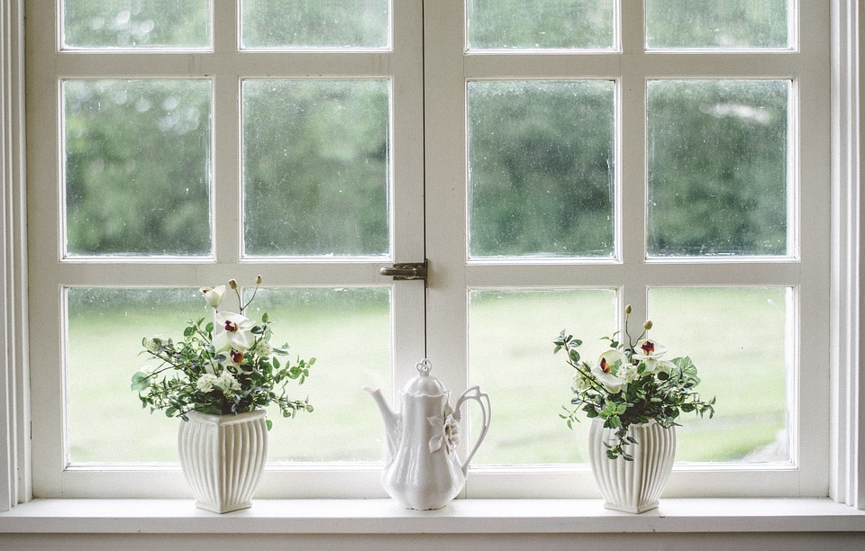 Windowsill with plants and a kettle